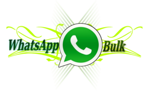 Bulk Whatsapp sms 